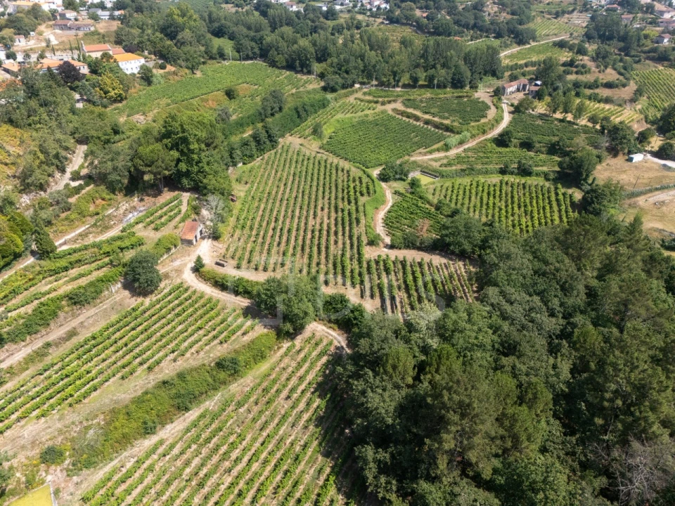 Quinta T6 para Venda em Livração Foto 26