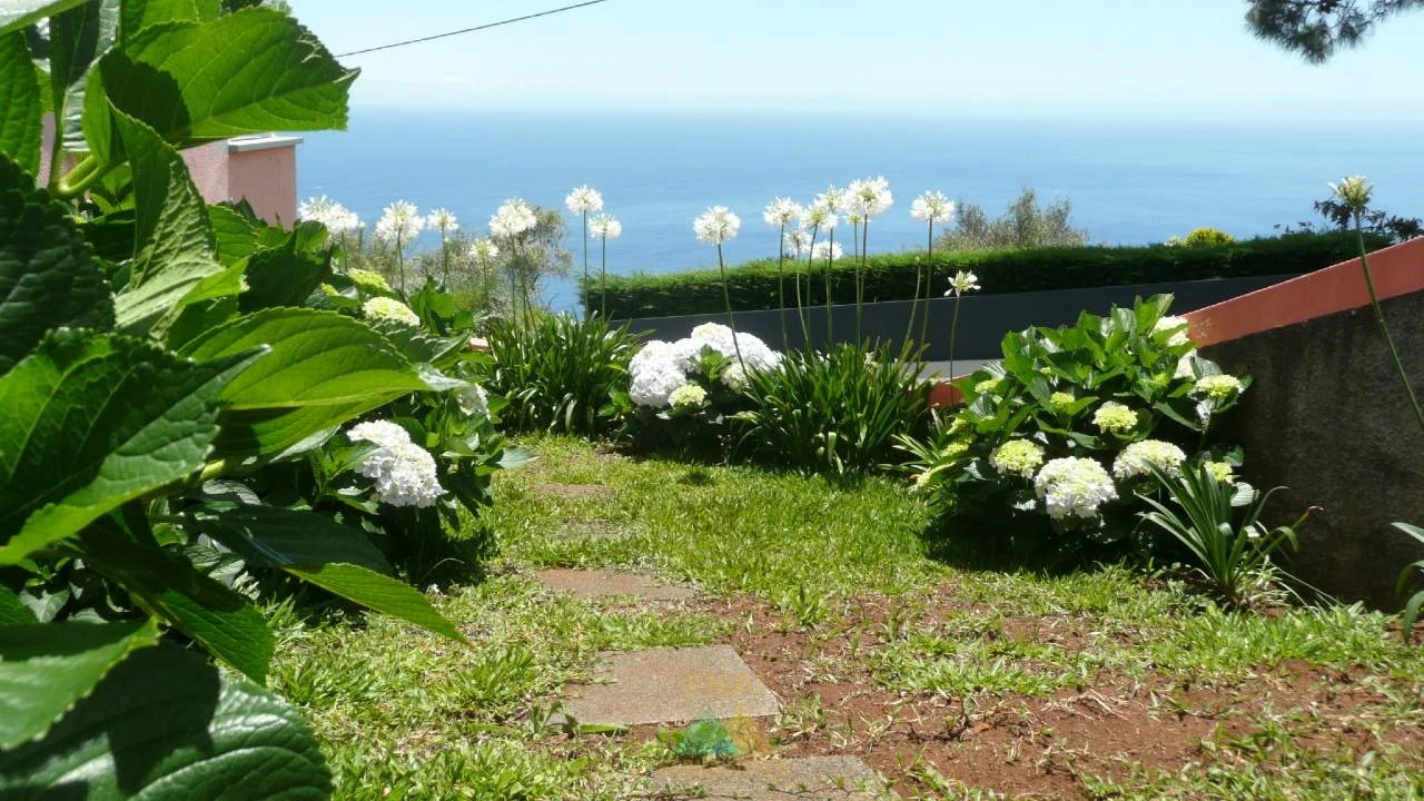Moradia T3 para Venda em Prazeres Foto 3