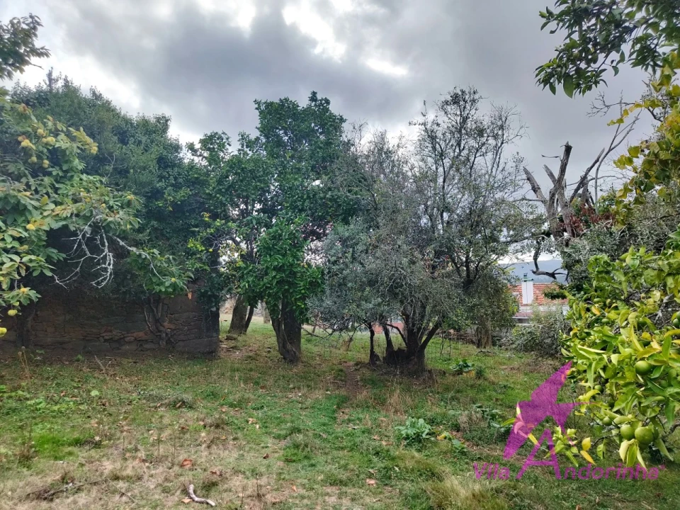 Terreno para Venda em Santa Marta de Portuzelo Foto 5