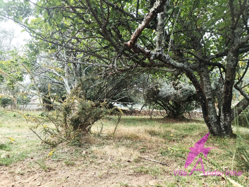 Terreno para Venda em Santa Marta de Portuzelo Foto 2