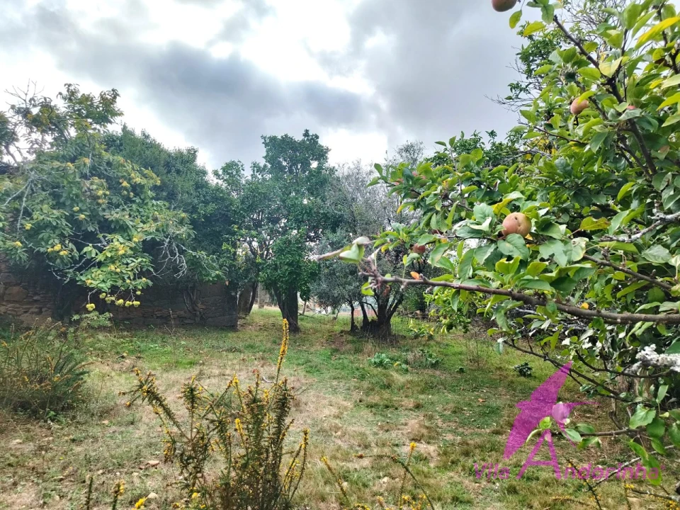 Terreno para Venda em Santa Marta de Portuzelo Foto 3