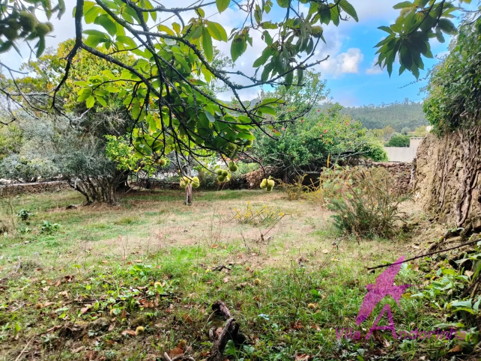 Terreno para Venda em Santa Marta de Portuzelo Foto 1