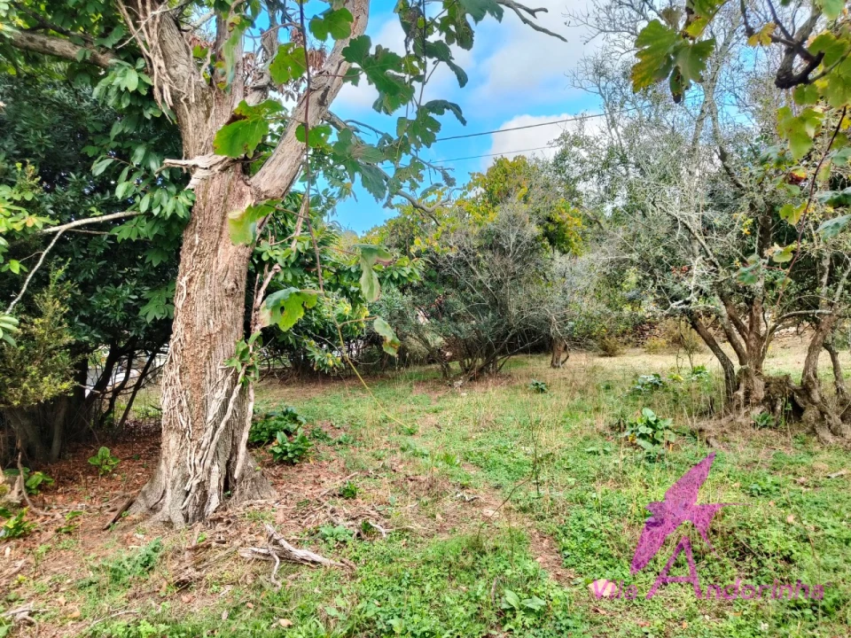 Terreno para Venda em Santa Marta de Portuzelo Foto 4