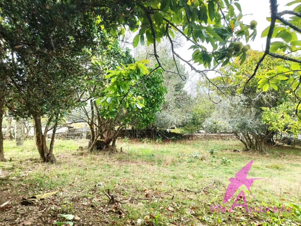 Terreno para Venda em Santa Marta de Portuzelo Foto 8