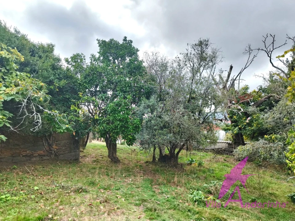Terreno para Venda em Santa Marta de Portuzelo Foto 9