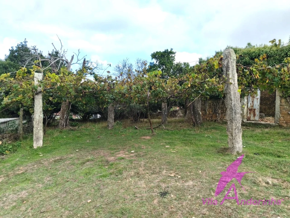 Terreno para Venda em Santa Marta de Portuzelo Foto 10