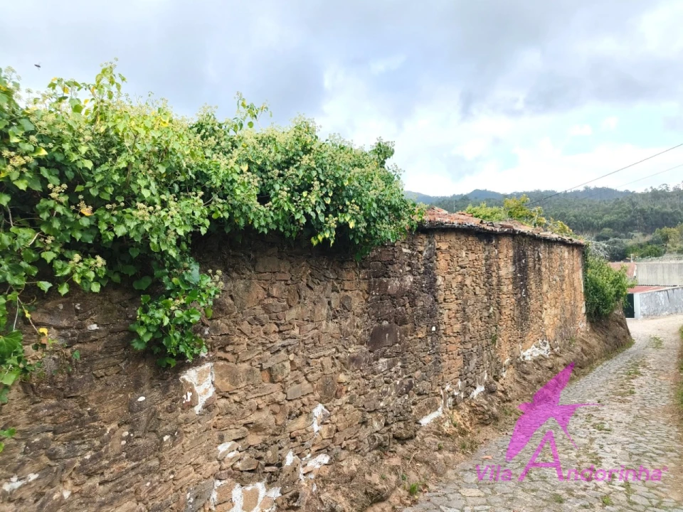 Terreno para Venda em Santa Marta de Portuzelo Foto 12