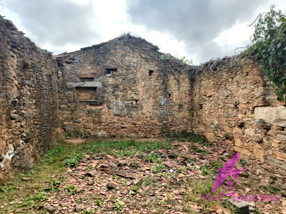 Terreno para Venda em Santa Marta de Portuzelo Foto 14