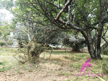 Terreno para Venda em Santa Marta de Portuzelo