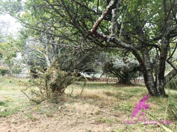 Terreno para Venda em Santa Marta de Portuzelo