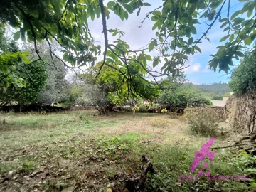Terreno para Venda em Santa Marta de Portuzelo