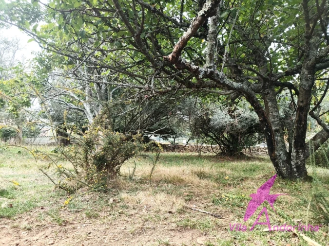 Terreno para Venda em Santa Marta de Portuzelo Foto 6