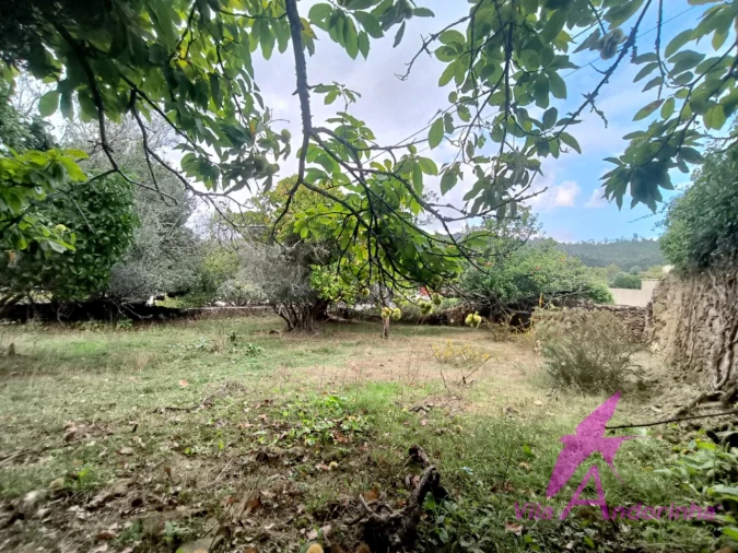 Terreno para Venda em Santa Marta de Portuzelo Foto 11