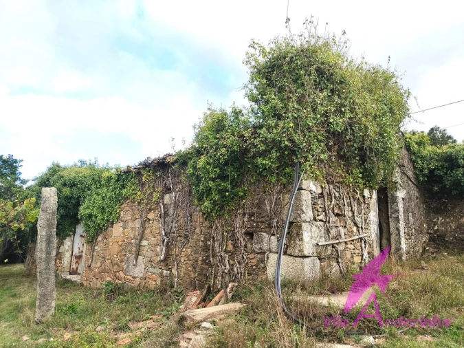 Terreno para Venda em Santa Marta de Portuzelo Foto 15