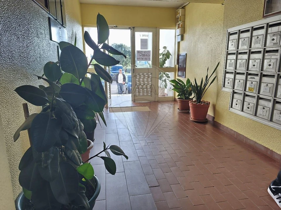 Apartamento T2 para Venda em Marvila, Ribeira Santarém, São Salvador, São Nicolau Foto 9