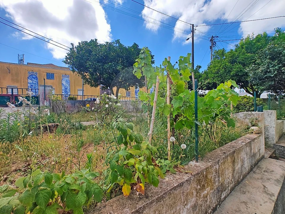 Apartamento T3 para Venda em Sobral de Monte Agraço Foto 5