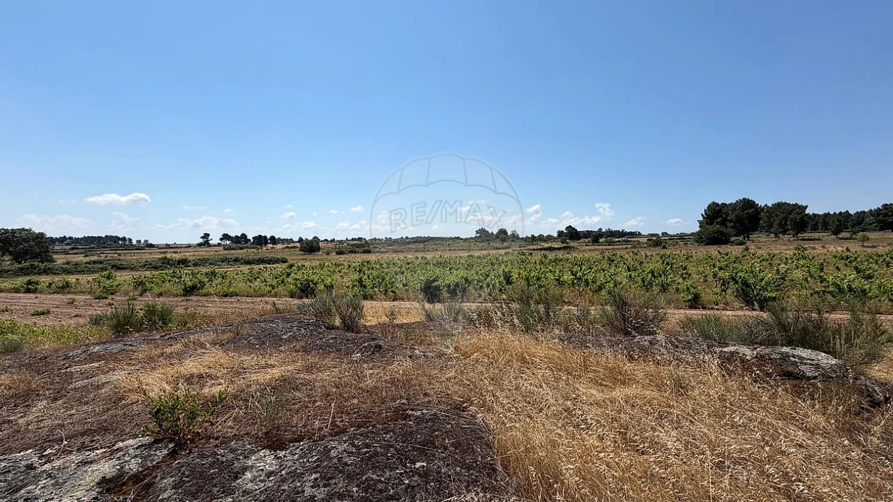 Terreno para Venda em Almeida Foto 1