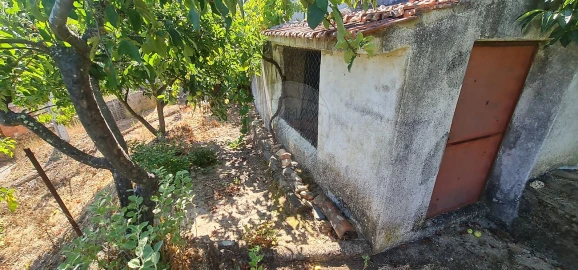 Moradia T4 para Venda em Envendos
