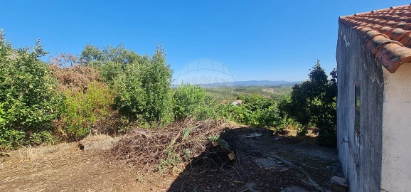 Moradia T4 para Venda em Envendos