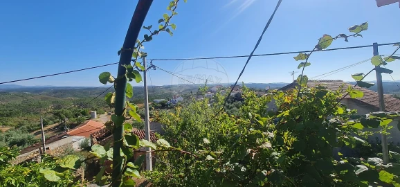 Moradia T4 para Venda em Envendos