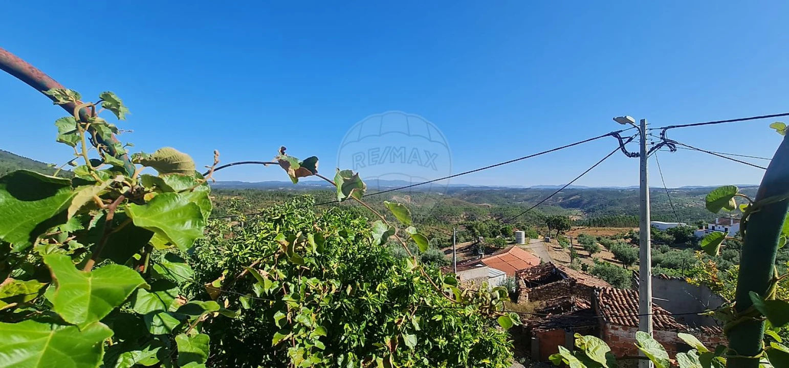 Moradia T4 para Venda em Envendos Foto 14