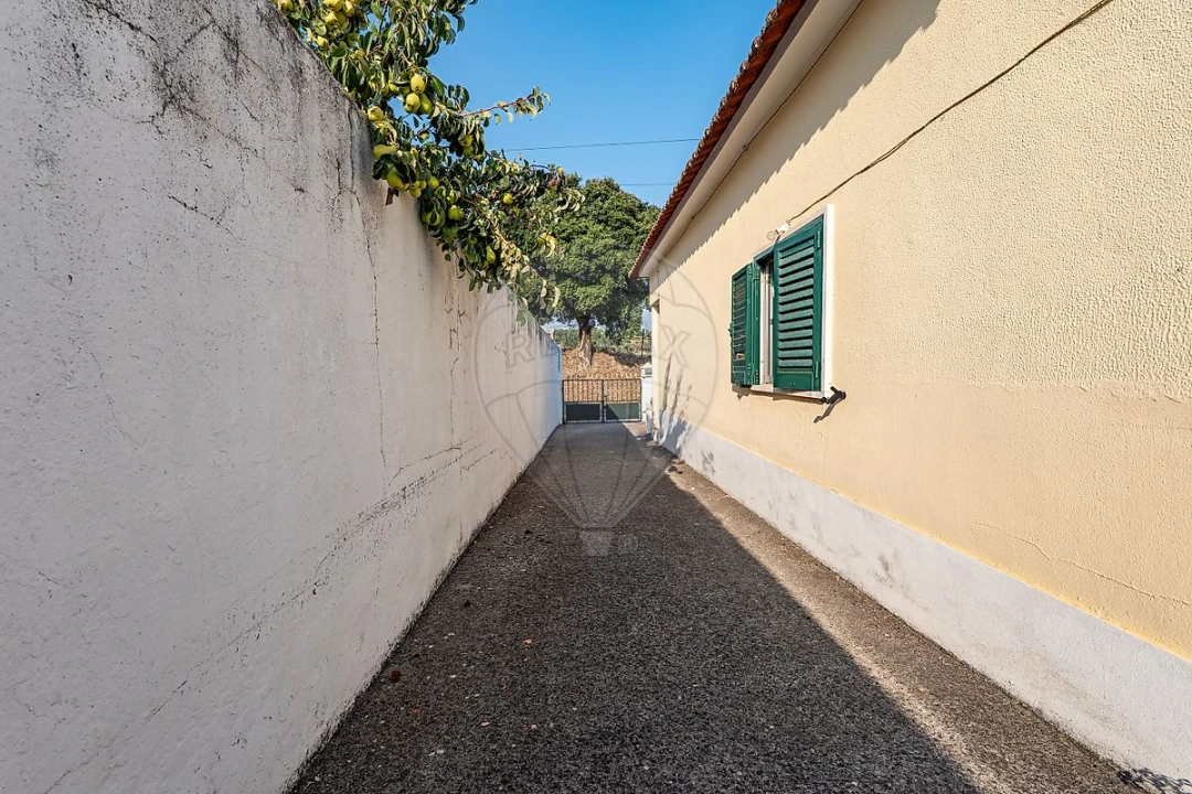 Moradia T3 para Venda em São João da Ribeira e Ribeira de São João Foto 39