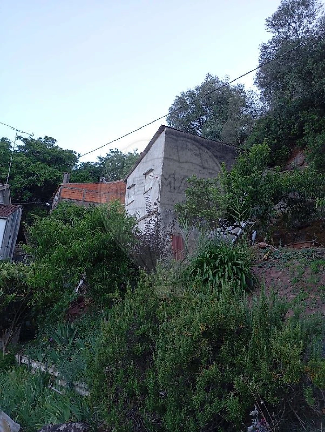 Moradia T3 para Venda em Santo Antonio dos Olivais Foto 1