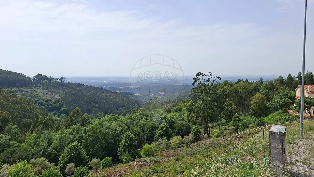 Quinta T
           para Venda em Luso Foto 1