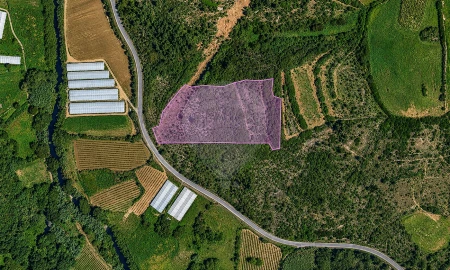 Terreno para Venda em Igreja Nova e Cheleiros
