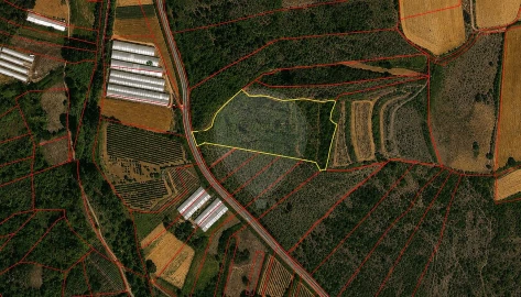 Terreno para Venda em Igreja Nova e Cheleiros