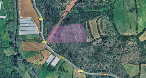 Terreno para Venda em Igreja Nova e Cheleiros