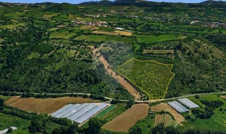 Terreno para Venda em Igreja Nova e Cheleiros