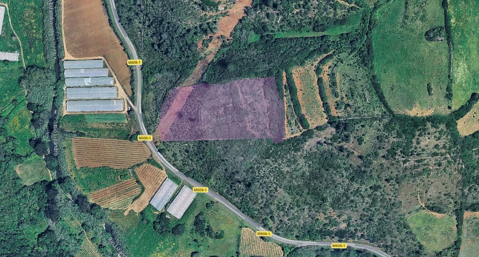 Terreno para Venda em Igreja Nova e Cheleiros Foto 2