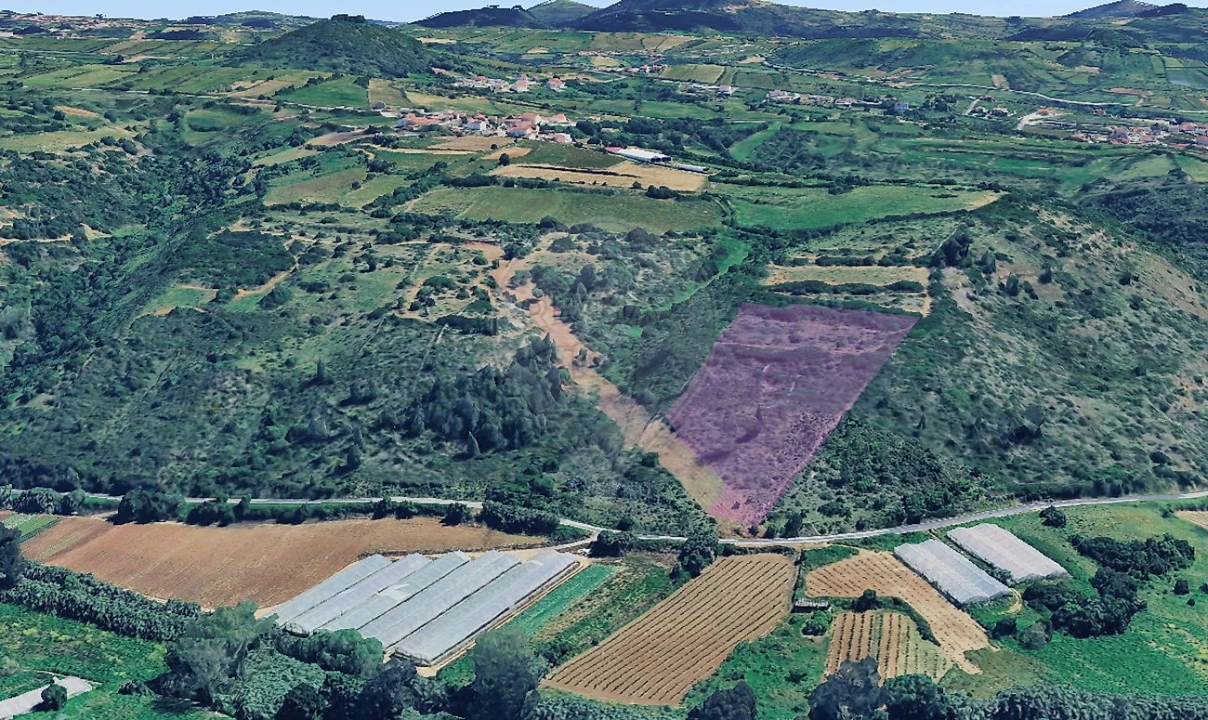 Terreno para Venda em Igreja Nova e Cheleiros Foto 3