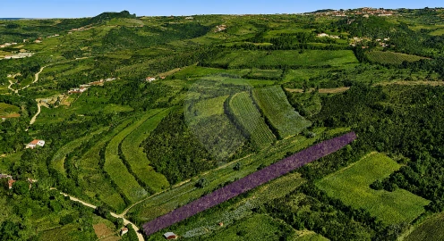 Terreno para Venda em Almargem do Bispo, Pêro Pinheiro e Montelavar