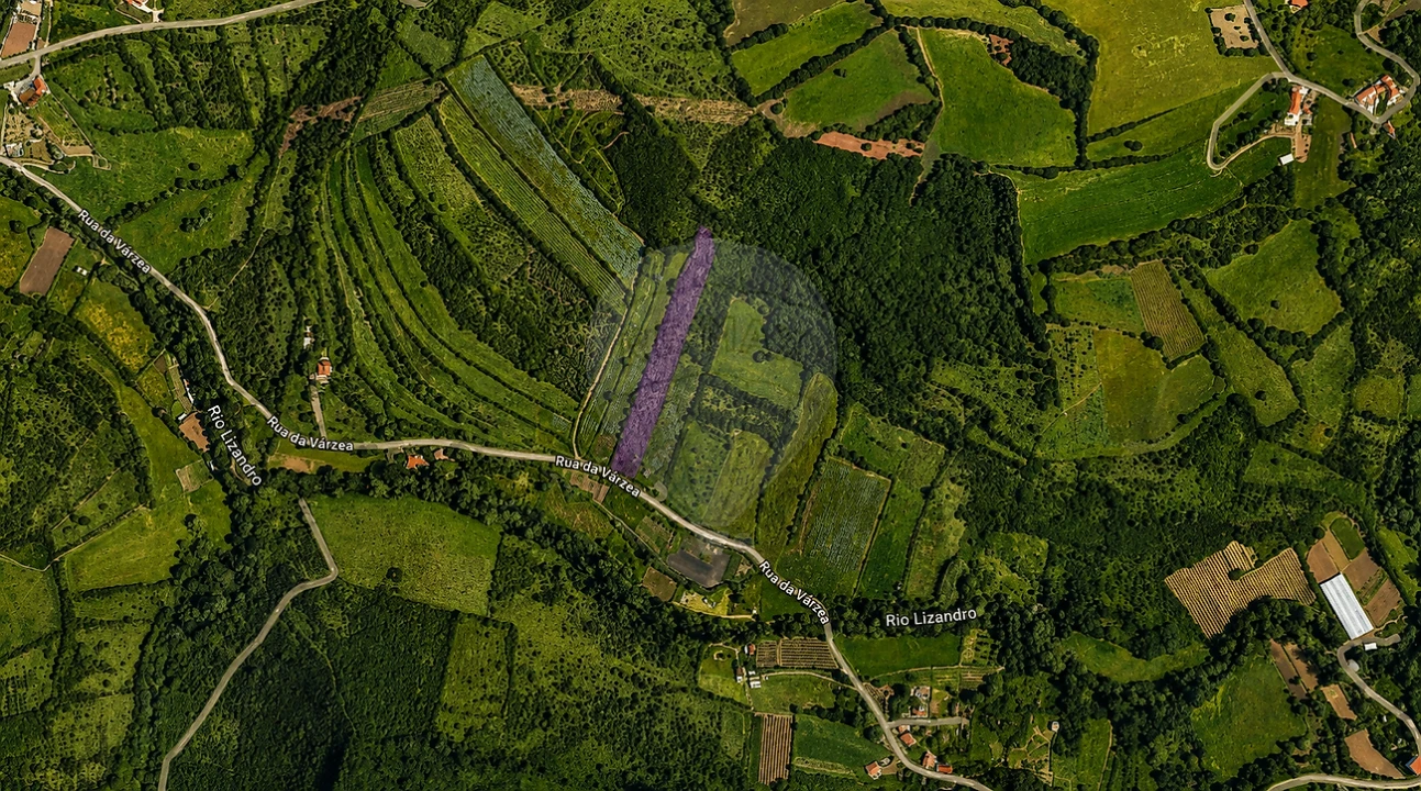 Terreno para Venda em Almargem do Bispo, Pêro Pinheiro e Montelavar Foto 4