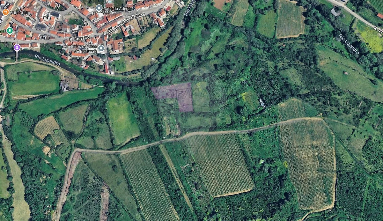 Terreno para Venda em Igreja Nova e Cheleiros Foto 3