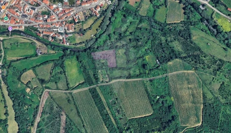 Terreno para Venda em Igreja Nova e Cheleiros