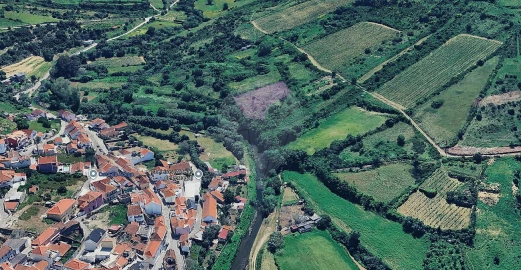 Terreno para Venda em Igreja Nova e Cheleiros