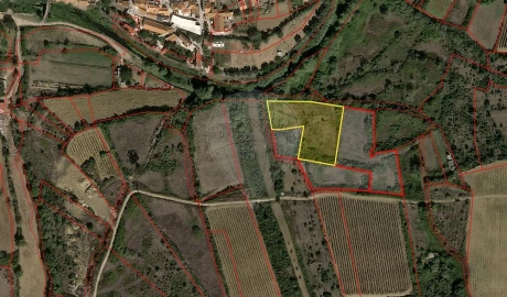 Terreno para Venda em Igreja Nova e Cheleiros