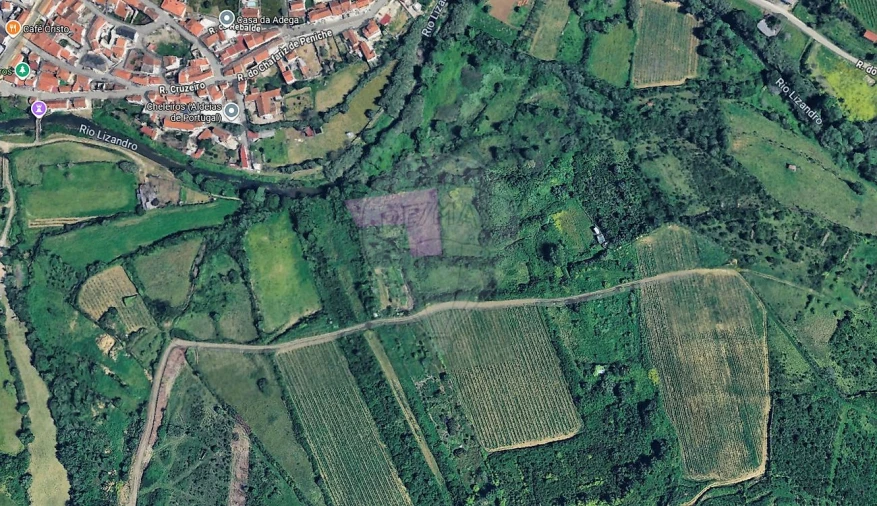 Terreno para Venda em Igreja Nova e Cheleiros Foto 3