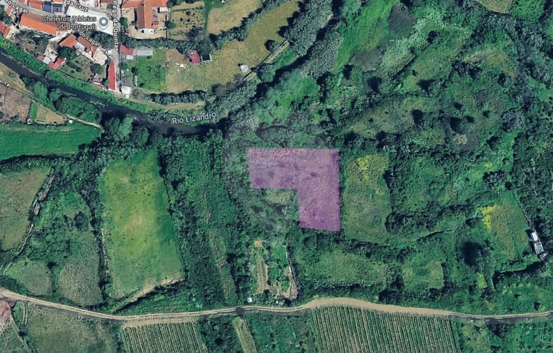 Terreno para Venda em Igreja Nova e Cheleiros Foto 5