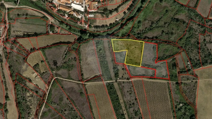 Terreno para Venda em Igreja Nova e Cheleiros