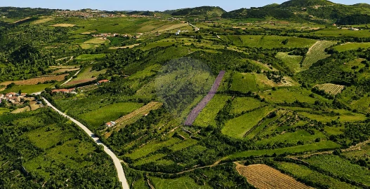 Terreno para Venda em Igreja Nova e Cheleiros