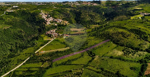 Terreno para Venda em Igreja Nova e Cheleiros