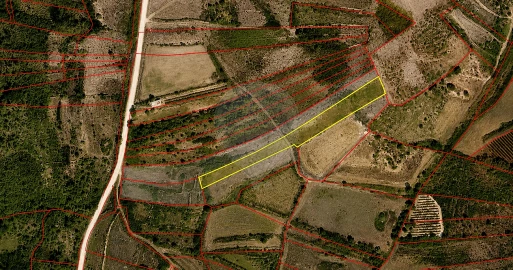 Terreno para Venda em Igreja Nova e Cheleiros