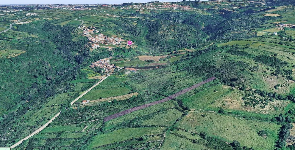 Terreno para Venda em Igreja Nova e Cheleiros Foto 5