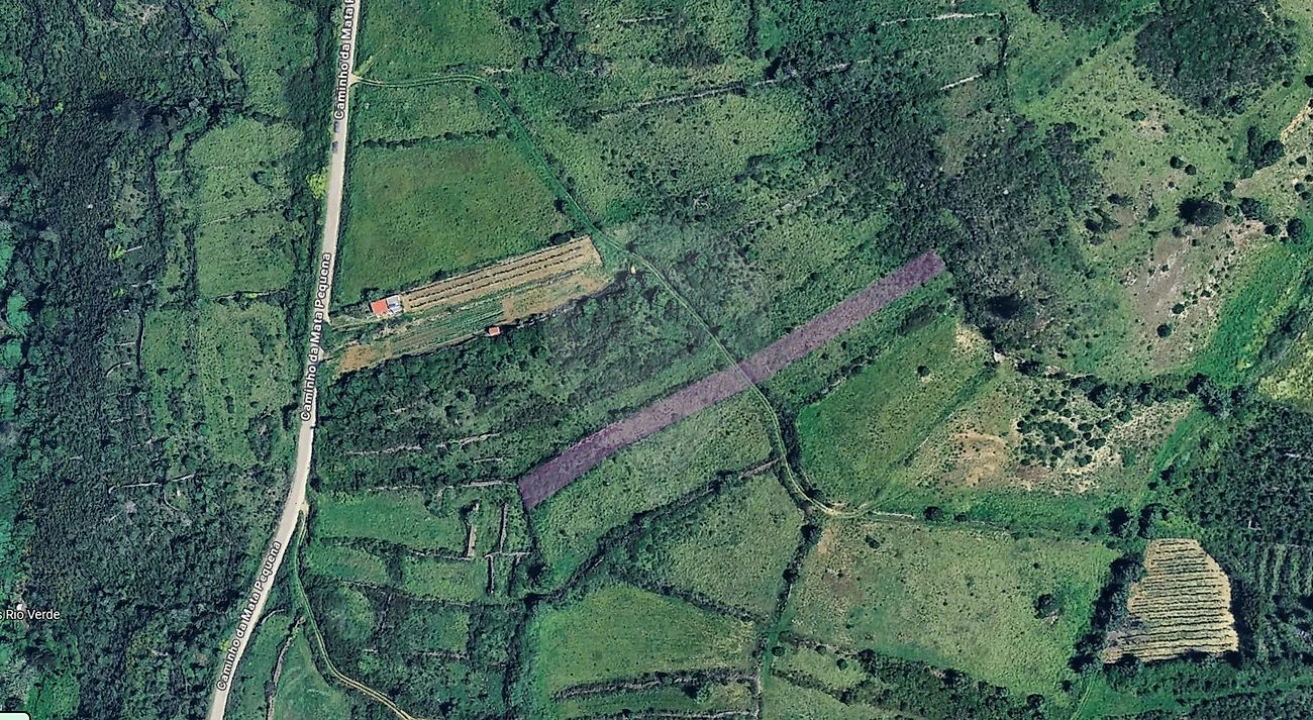 Terreno para Venda em Igreja Nova e Cheleiros Foto 4