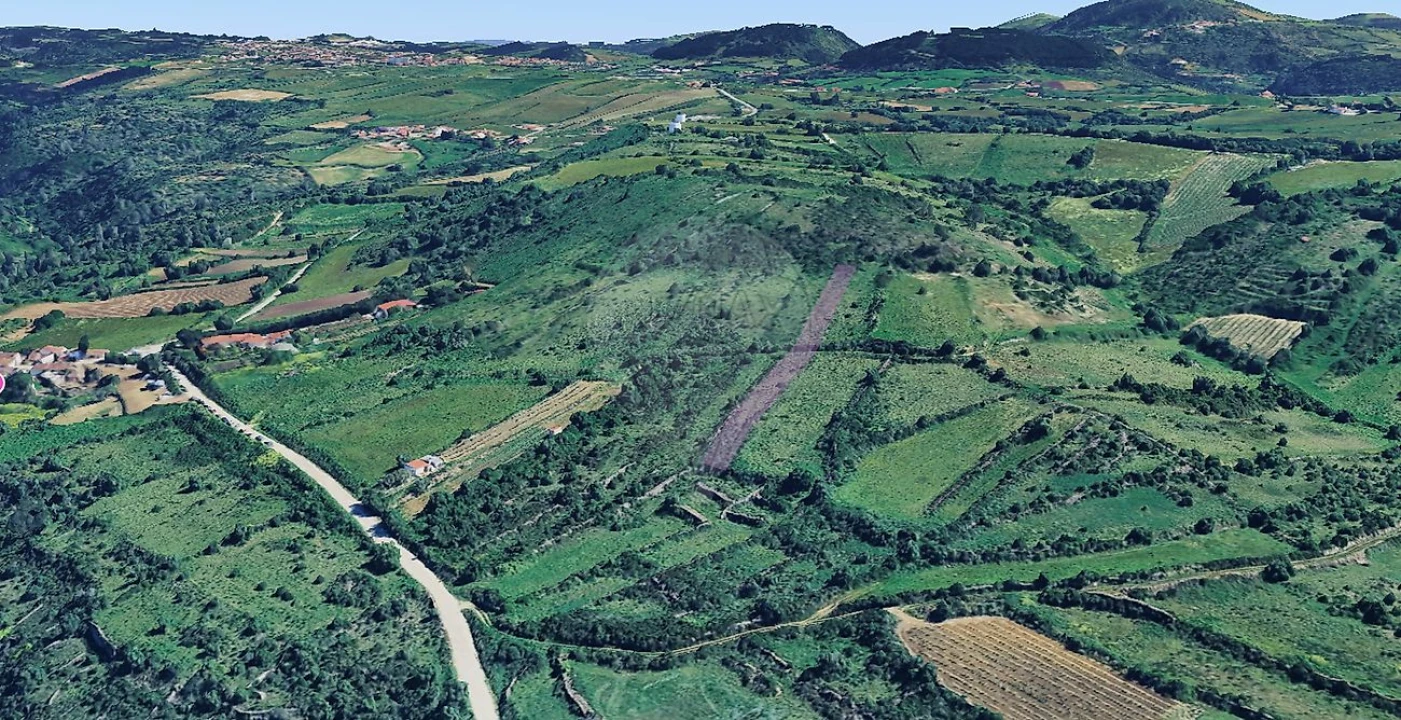 Terreno para Venda em Igreja Nova e Cheleiros Foto 3