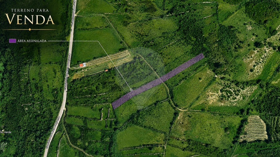 Terreno para Venda em Igreja Nova e Cheleiros